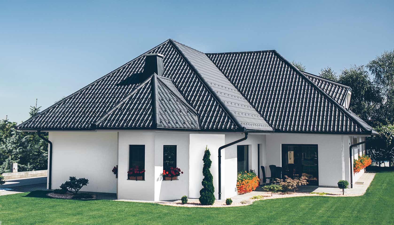 Članek o podjetju Petrovič v Večeru Članek o podjetju Petrovič v Večeru
